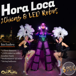 REVISED chicas and LED robot